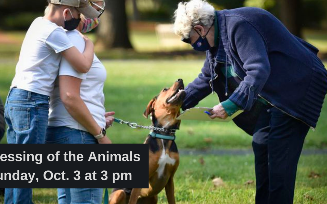 Oct. 3: Blessing of the Animals