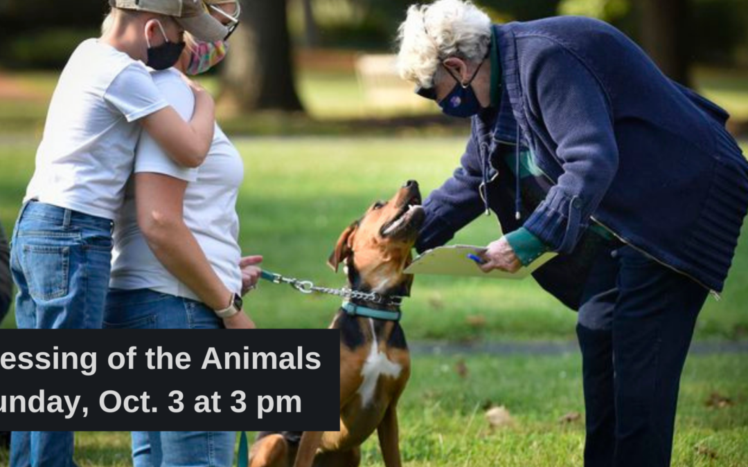 A woman is touching the top of a dog's head while another woman and a boy look on